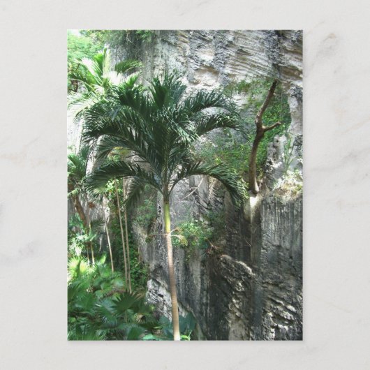 Königstreppe Postkarte (Vorderseite)