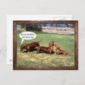 Können Dackeln singen? Vielleicht nicht........... Postkarte (Vorne/Hinten)