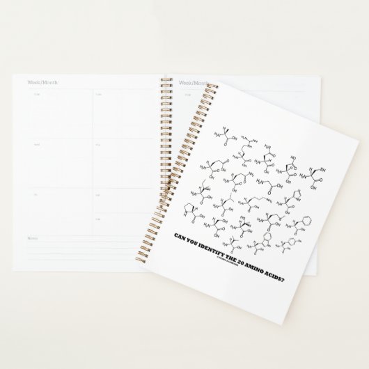 Können Sie die 20 Aminosäuren identifizieren? Bioc Planer (Anzeige)