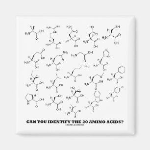 Können Sie die 20 Aminosäuren identifizieren? Magnet
