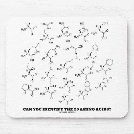 Können Sie die 20 Aminosäuren identifizieren? Mousepad (Vorne)