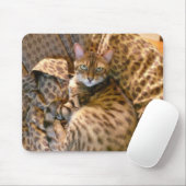 Können Sie mich sehen? Mousepad (Mit Mouse)