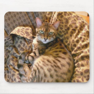 Können Sie mich sehen? Mousepad