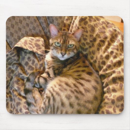 Können Sie mich sehen? Mousepad (Vorne)