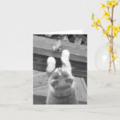 Können wir FREUNDE sein? Karte (Gelbe Blume)