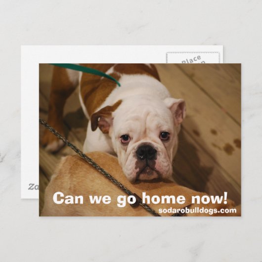 Können wir jetzt Zuhause gehen? Postkarte (Vorne/Hinten)