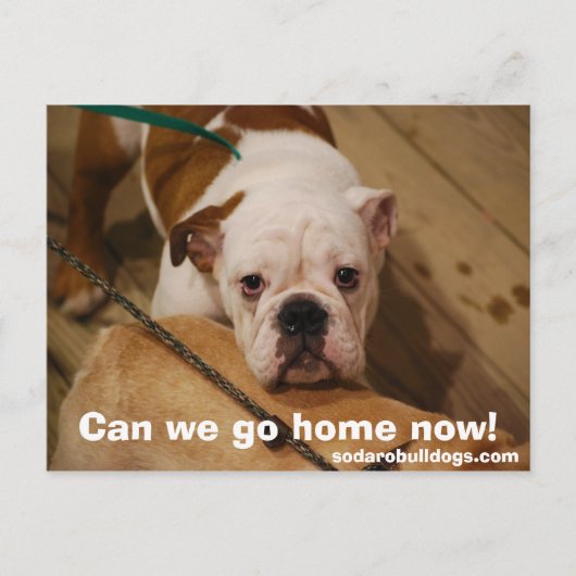 Können wir jetzt Zuhause gehen? Postkarte (Vorderseite)