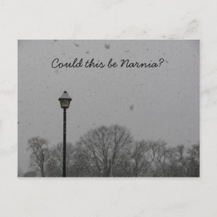 Könnte das Narnia sein? Postkarte
