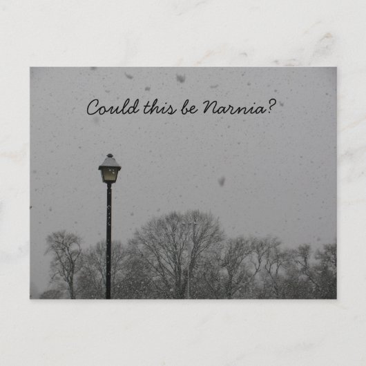 Könnte das Narnia sein? Postkarte (Vorderseite)