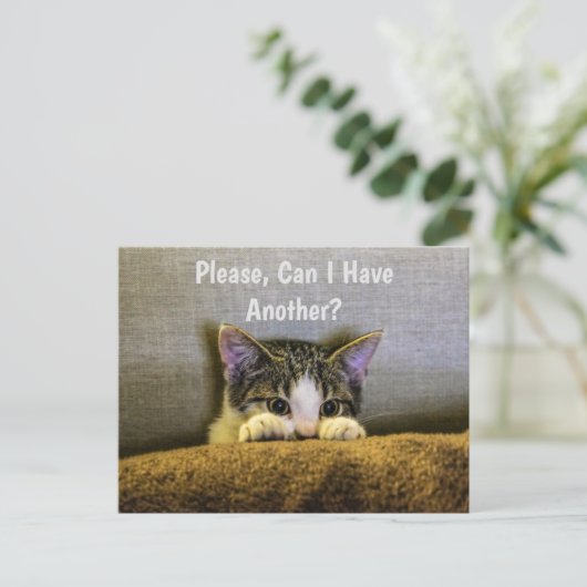 Könnte ich bitte noch etwas haben? Funny Kitten Postkarte (Stehend Vorderseite)
