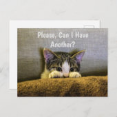 Könnte ich bitte noch etwas haben? Funny Kitten Postkarte (Vorne/Hinten)