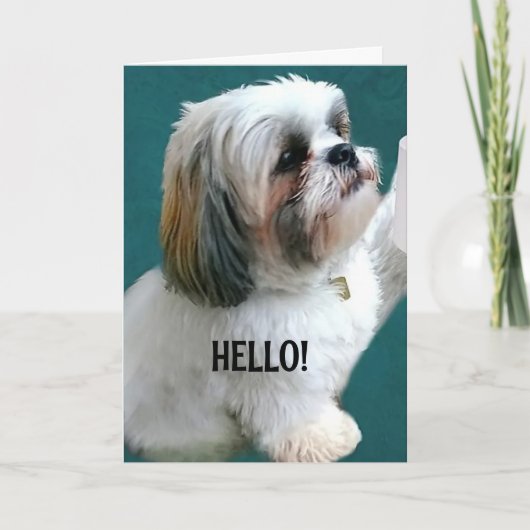 KÖNNTEN NICHT WARTEN, ZU SAGEN *GLÜCKLICHER GEBURT KARTE (Vorderseite)