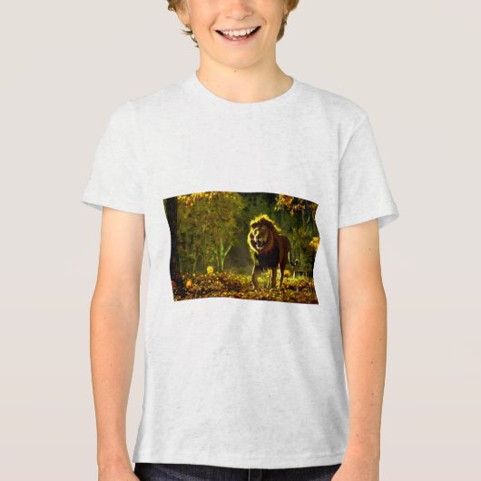 Könnten Sie klarstellen, welche Art von Titel Sie Tri-Blend Shirt (Vorderseite)