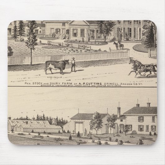 Konservatorien und Schulen Mousepad (Vorne)