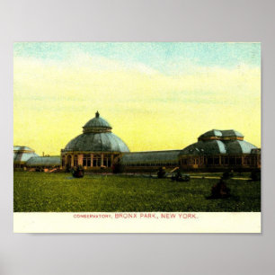 Konservatorium, Bronx Park, New York Vintage Poster
