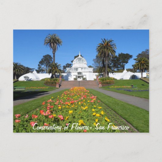 Konservatorium von San Francisco für Blume Postkarte (Vorderseite)