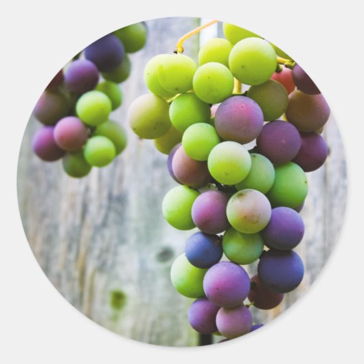 Konservenetikett Runder Aufkleber (Vorderseite)