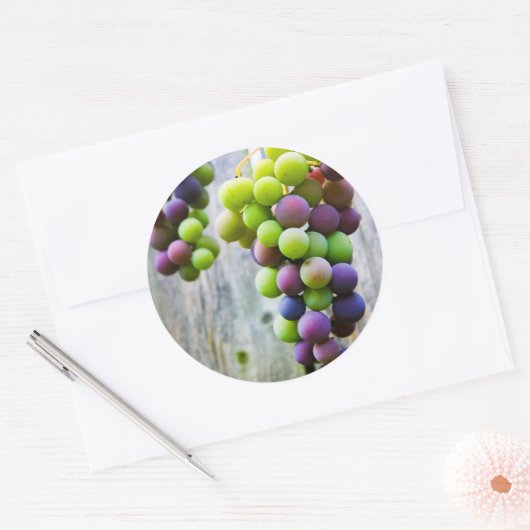 Konservenetikett Runder Aufkleber (Umschlag)