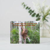 Konservierung, keine Plastikverschmutzung Karte (Stehend Vorderseite)