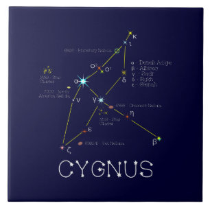 Konstellation Cygnus Fliese