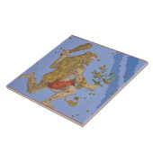 Konstellation der Haut Herkules-Löwes, von 'Urano Fliese (Seite)