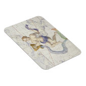 Konstellation des Aquarius, Platte 9 von "Atlas Co Magnet (Rechte Seite)