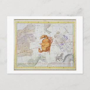 Konstellation des Krebses, Platte 4 von "Atlas Coe Postkarte
