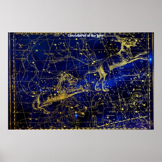 Konstellation des Luchses Poster (Vorne)