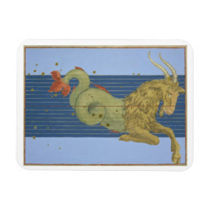 Konstellation des Steinbocks, von "Uranometria" Magnet