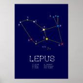 Konstellation Lepus Poster (Vorne)
