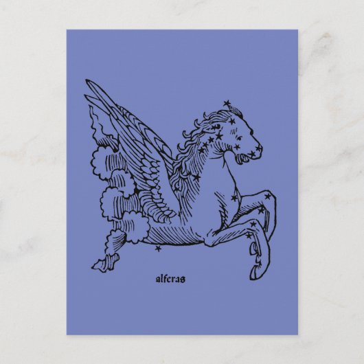 Konstellation: Pegasus Postkarte (Vorderseite)