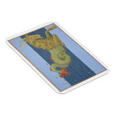 Konstellation von Capricorn, von "Uranometria" dur Magnet (Rechte Seite)