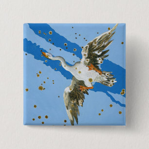 Konstellation von Cygnus, von "Uranometria" writte Button