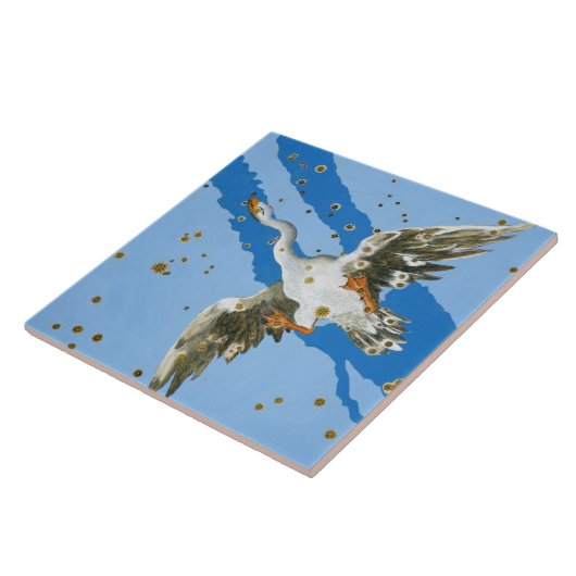 Konstellation von Cygnus, von "Uranometria" writte Fliese (Seite)