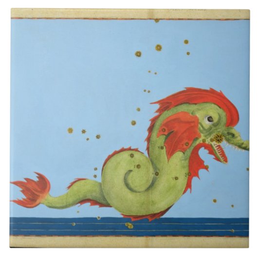 Konstellation von Fischen, von "Uranometria" durch Fliese (Vorderseite)