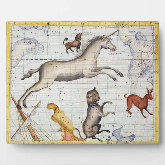 Konstellation von Monoceros mit Canis Major und Mi Fotoplatte (Vorderseite)