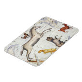 Konstellation von Monoceros mit Canis Major und Mi Magnet (Linke Seite)