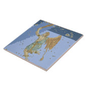 Konstellation von Orion, von "Uranometria" durch Fliese (Seite)