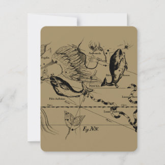 Konstellation von Pisces Hevelius 1690 Feb19 - Mär