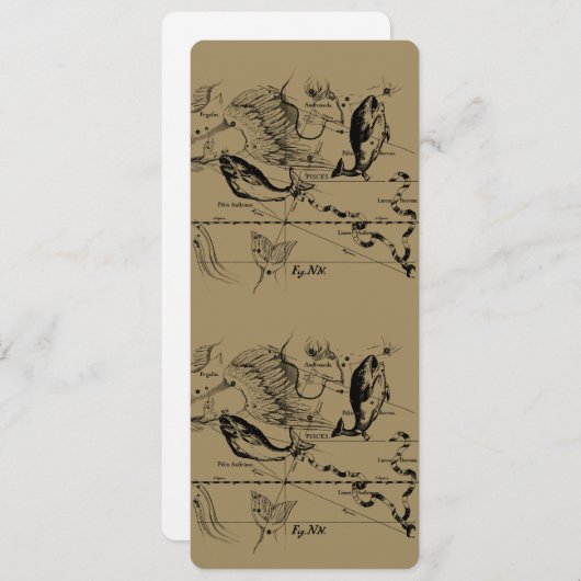 Konstellation von Pisces Hevelius 1690 Feb19 - Mär (Vorne/Hinten)