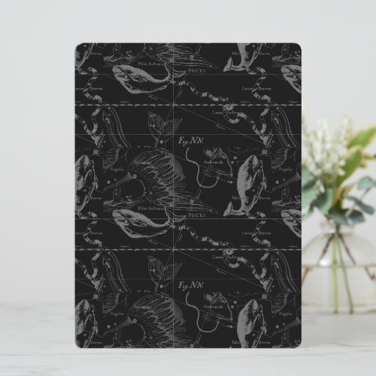 Konstellation von Pisces Hevelius 1690 Feb19 - Mär (Stehend Vorderseite)