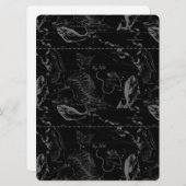 Konstellation von Pisces Hevelius 1690 Feb19 - Mär (Vorne/Hinten)