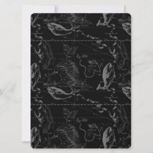 Konstellation von Pisces Hevelius 1690 Feb19 - Mär