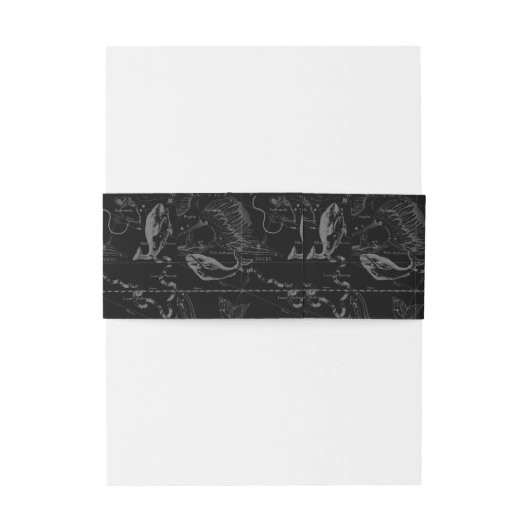 Konstellation von Pisces Hevelius 1690 Feb19 - Mär Einladungsbanderole (Rückseitenbeispiel)