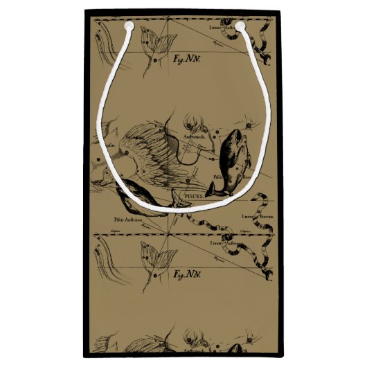 Konstellation von Pisces Hevelius 1690 Feb19 - Mär Kleine Geschenktüte (Rückseite)