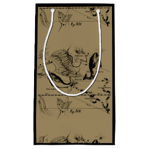 Konstellation von Pisces Hevelius 1690 Feb19 - Mär Kleine Geschenktüte