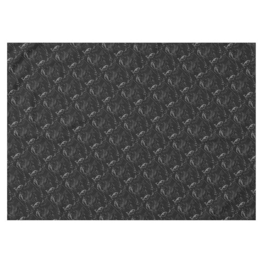 Konstellation von Pisces Hevelius 1690 Feb19 - Mär Tischdecke (Vorderseite (Horizontal))