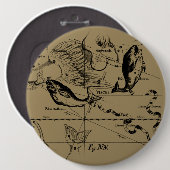 Konstellation von Pisces Hevelius um 1690 Button (Vorne & Hinten)