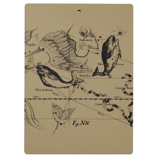 Konstellation von Pisces Hevelius um 1690 Klemmbrett (Rückseite)