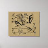 Konstellation von Pisces Hevelius um 1690 Leinwanddruck (Vorderseite)